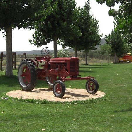 La Noguera Camping Sant Llorenç de Montgai Kültér fotó
